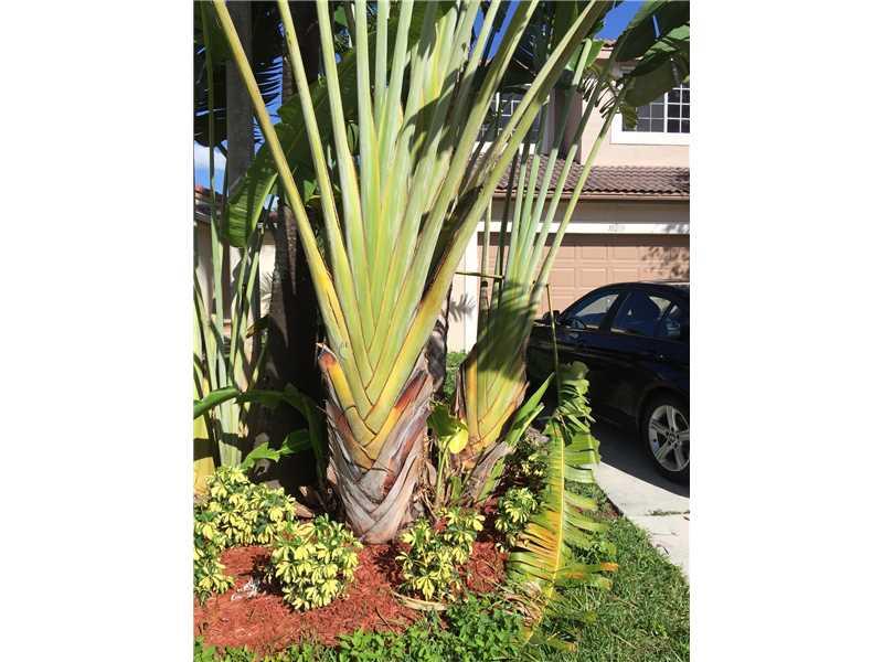 COCONUT COVE - Residential