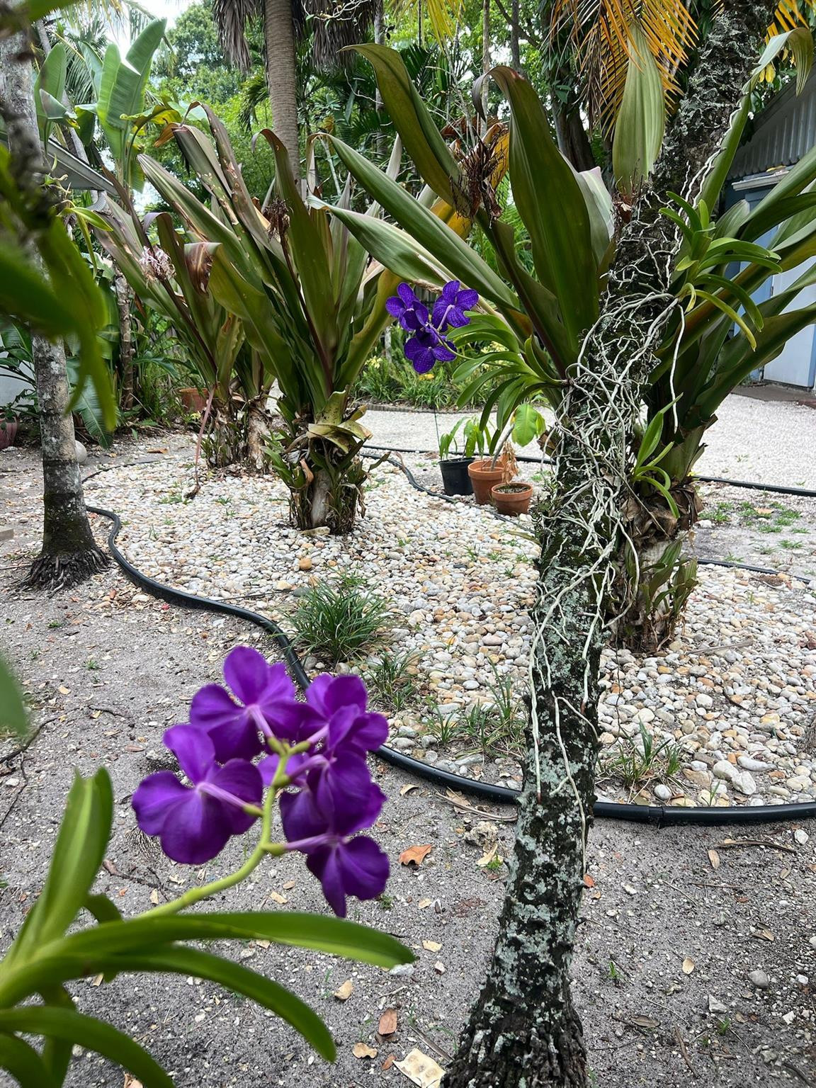 Riverside Add Amd 1-13 B - Residential Lease