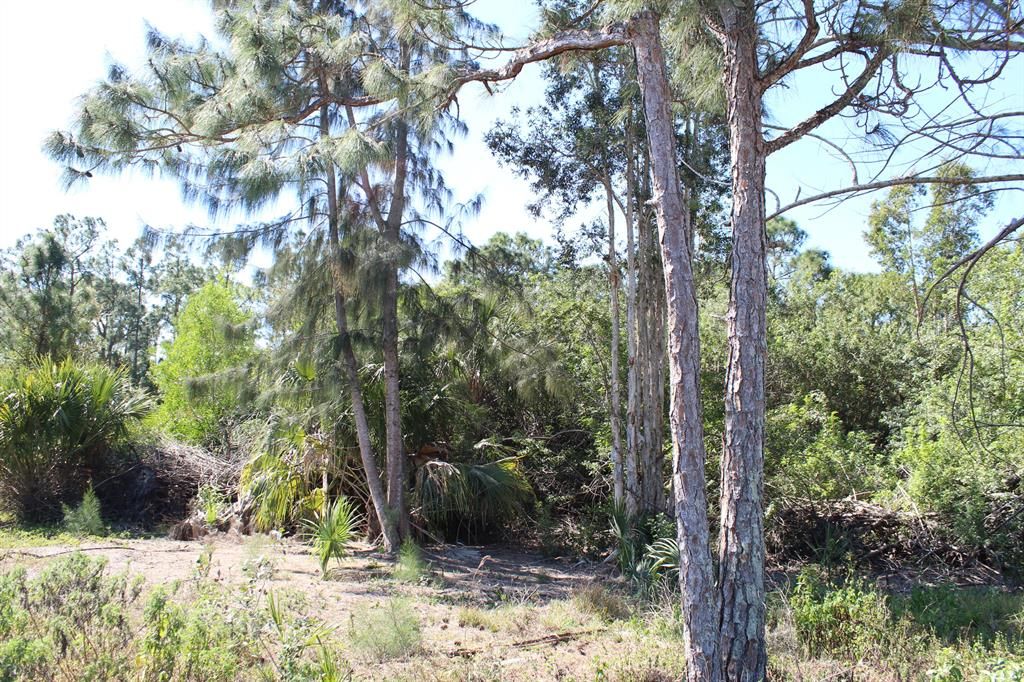 Photo of 16436 94th Street N, Loxahatchee, FL 33470 (MLS # R10874937)