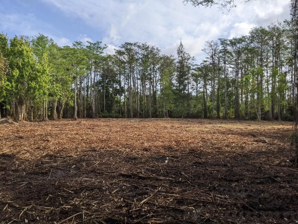 Photo of 15 88th Trail N, Palm Beach Gardens, FL 33418 (MLS # R10960461)