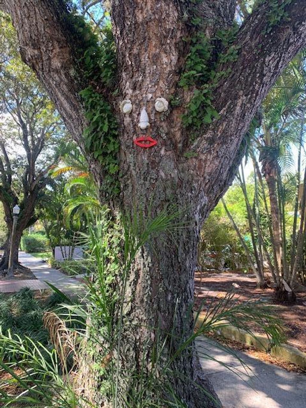 Photo of 805 Sunset Road, West Palm Beach, FL 33401 (MLS # R11167992)