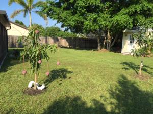 PORT ST LUCIE SECTION 30 - Residential