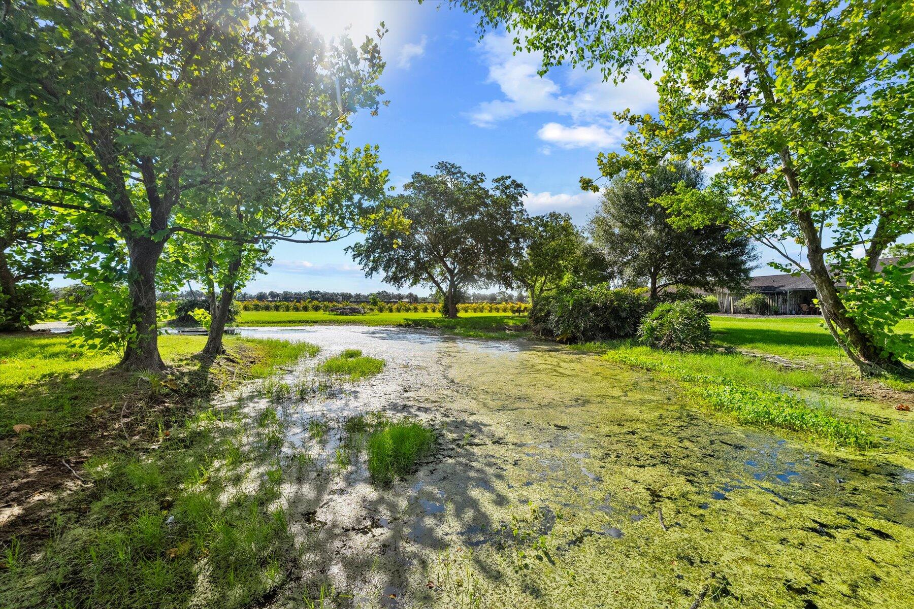 PALM BEACH FARMS CO 3 - Residential