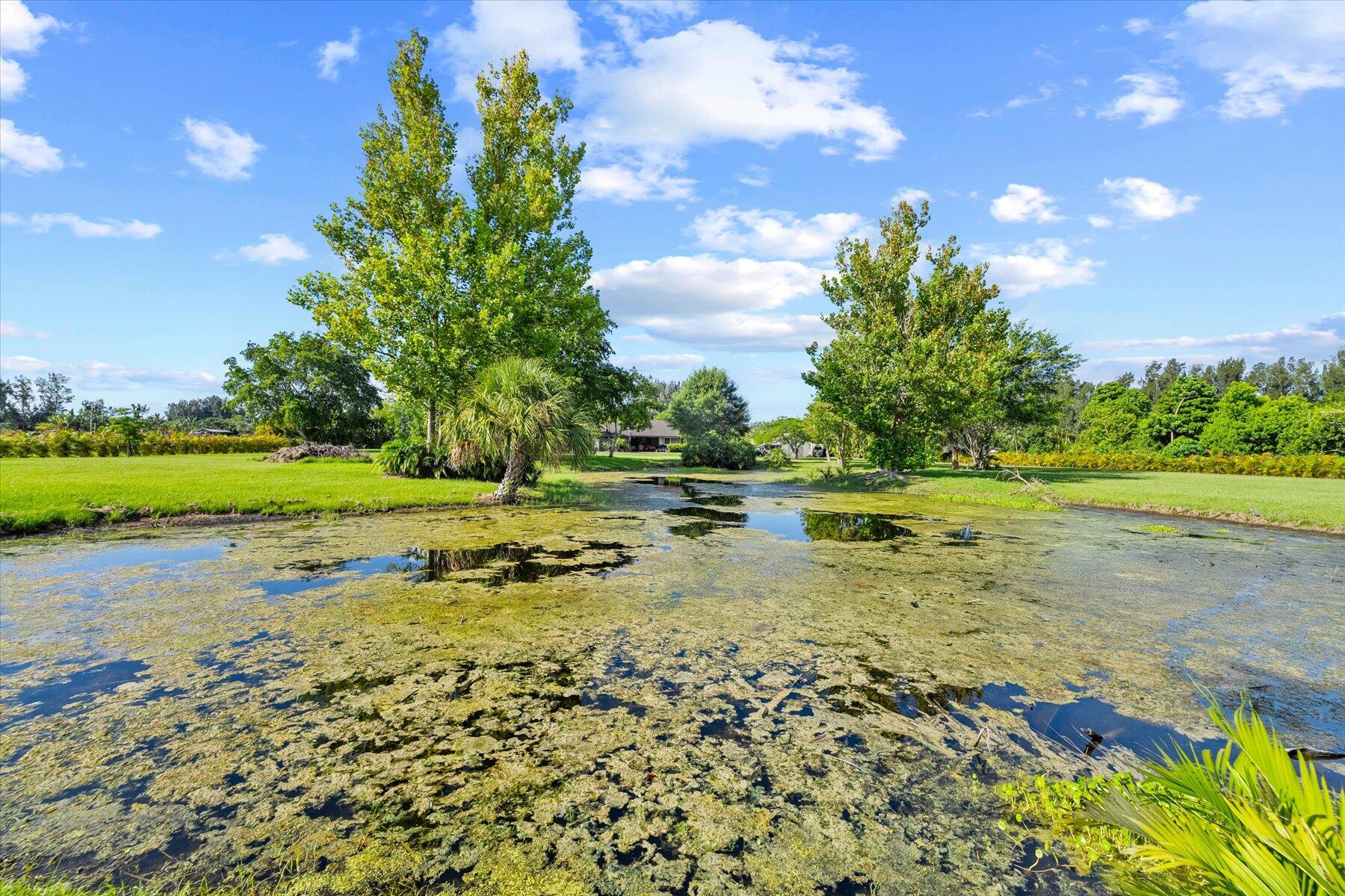 PALM BEACH FARMS CO 3 - Residential