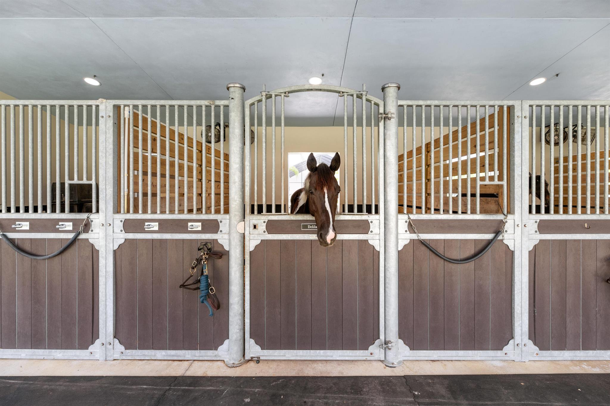 FOX TRAIL - Residential