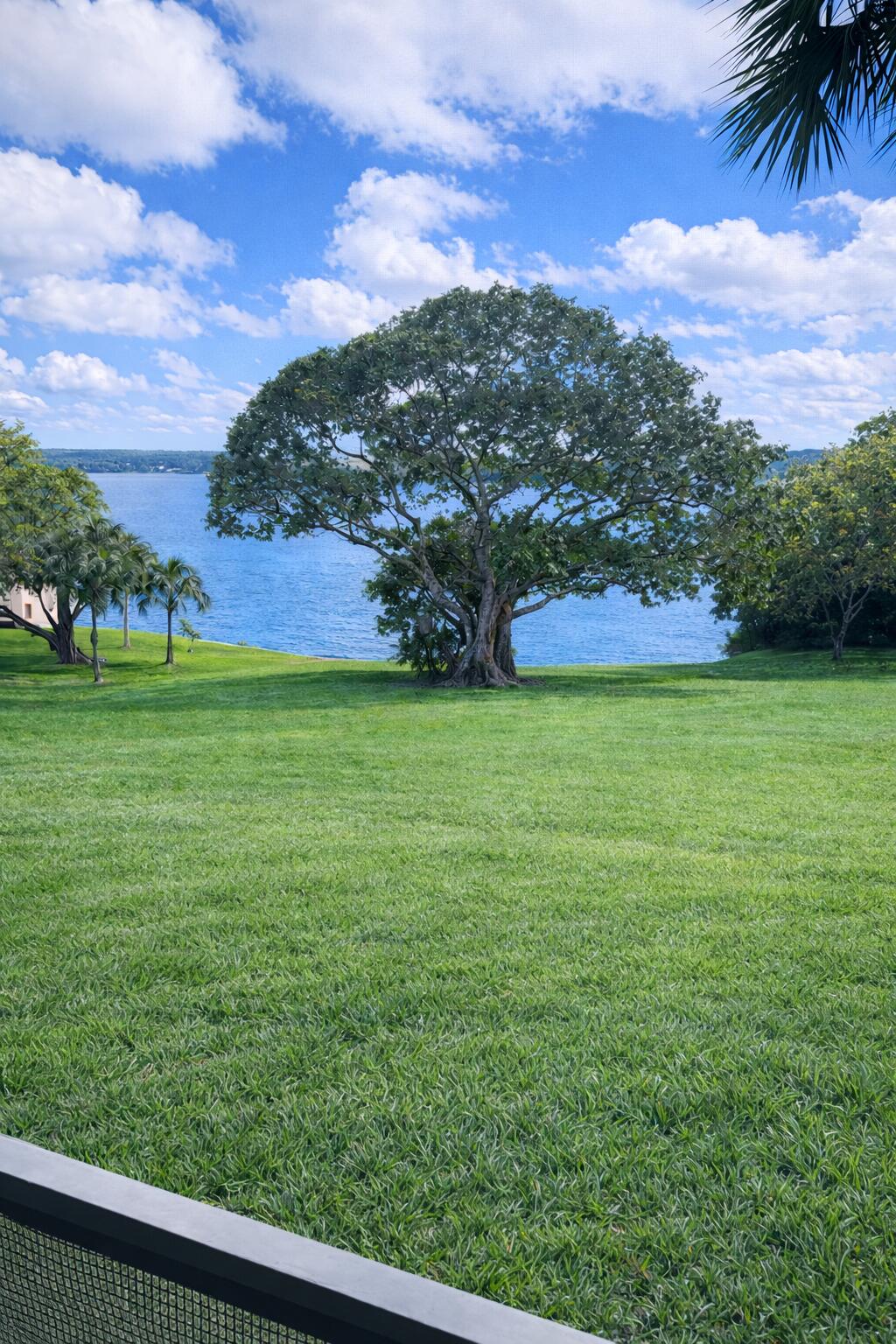 Photo of 3355 Jaywood Terrace #1130, Boca Raton, FL 33431 (MLS # B26036571)