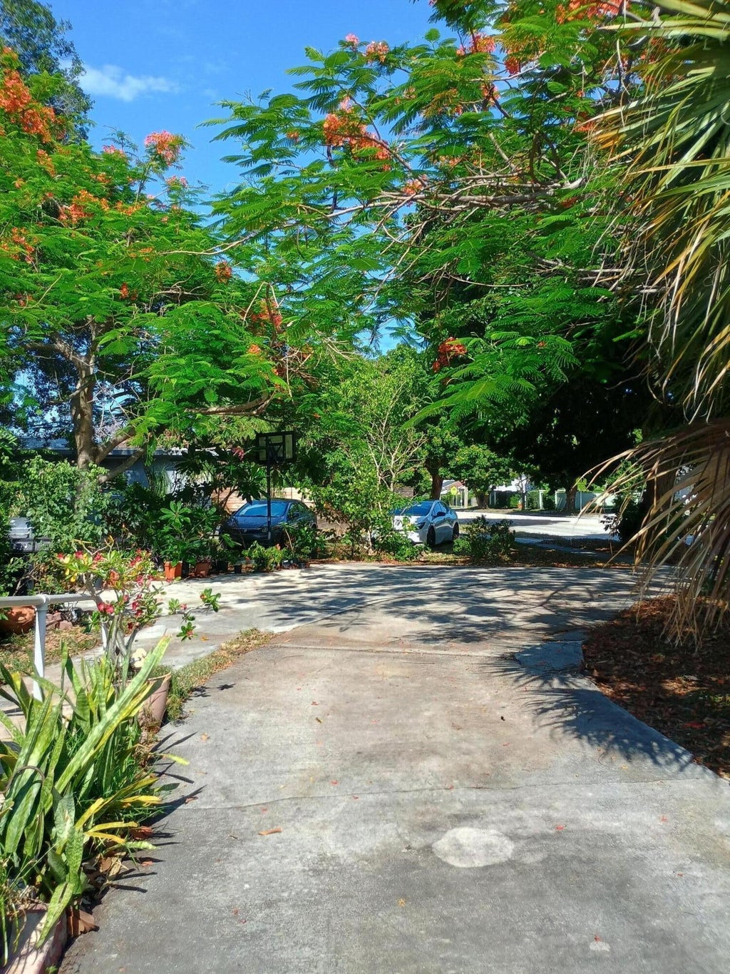 Photo of 831 N Forest Hill Boulevard, West Palm Beach, FL 33405 (MLS # B26044453)