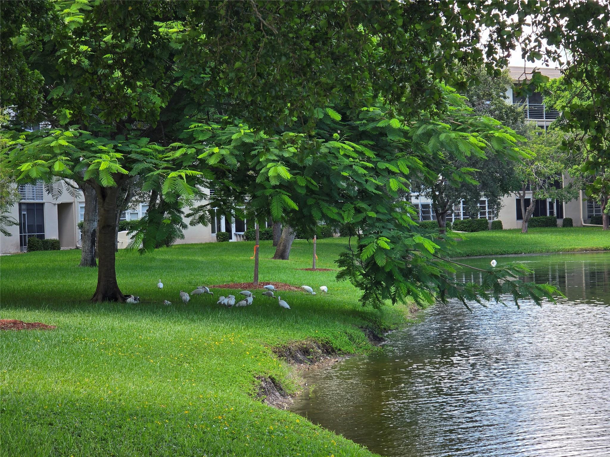 LUCAYA VILLAGE IE CONDO - Residential Lease