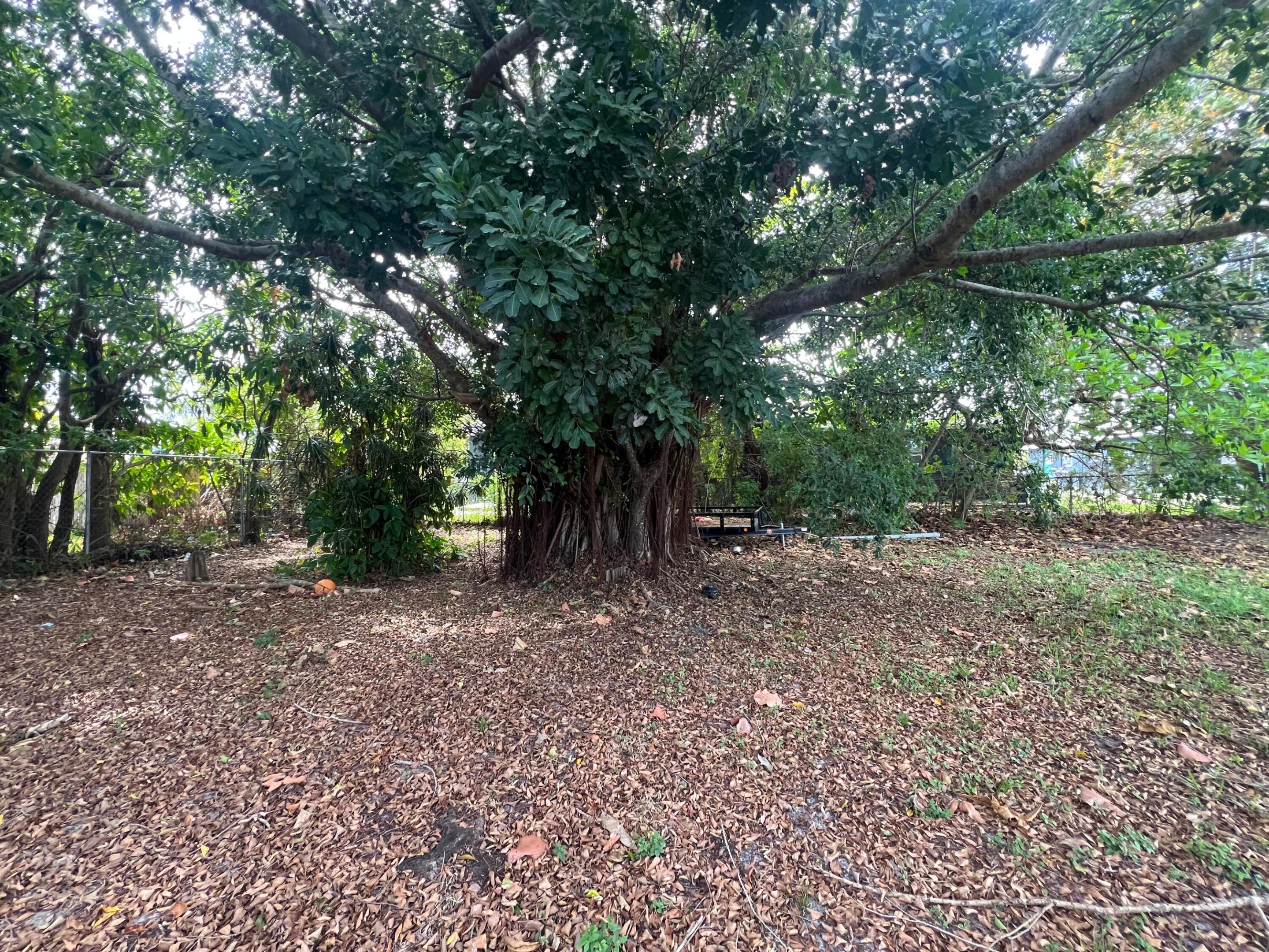 EVERGREEN ACRES - Residential