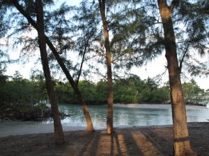 TIMBERWALK - Residential