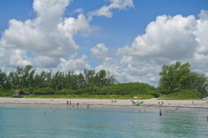 TIMBERWALK - Residential