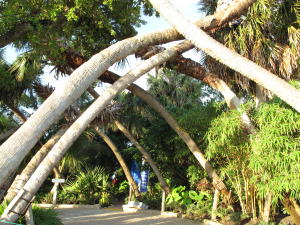 TIMBERWALK - Residential