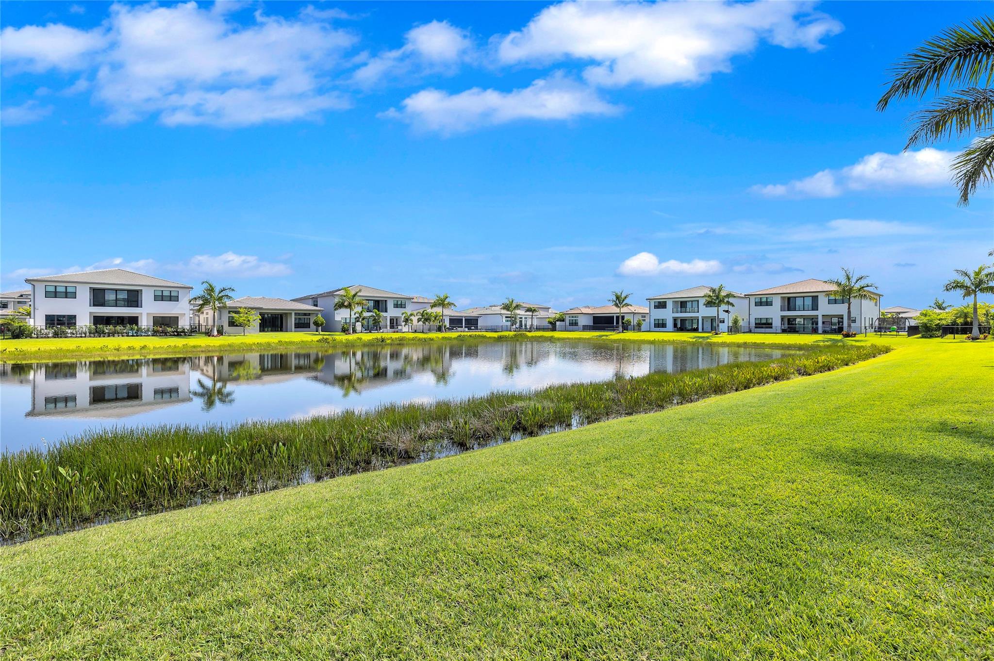 Lotus Palm - Residential