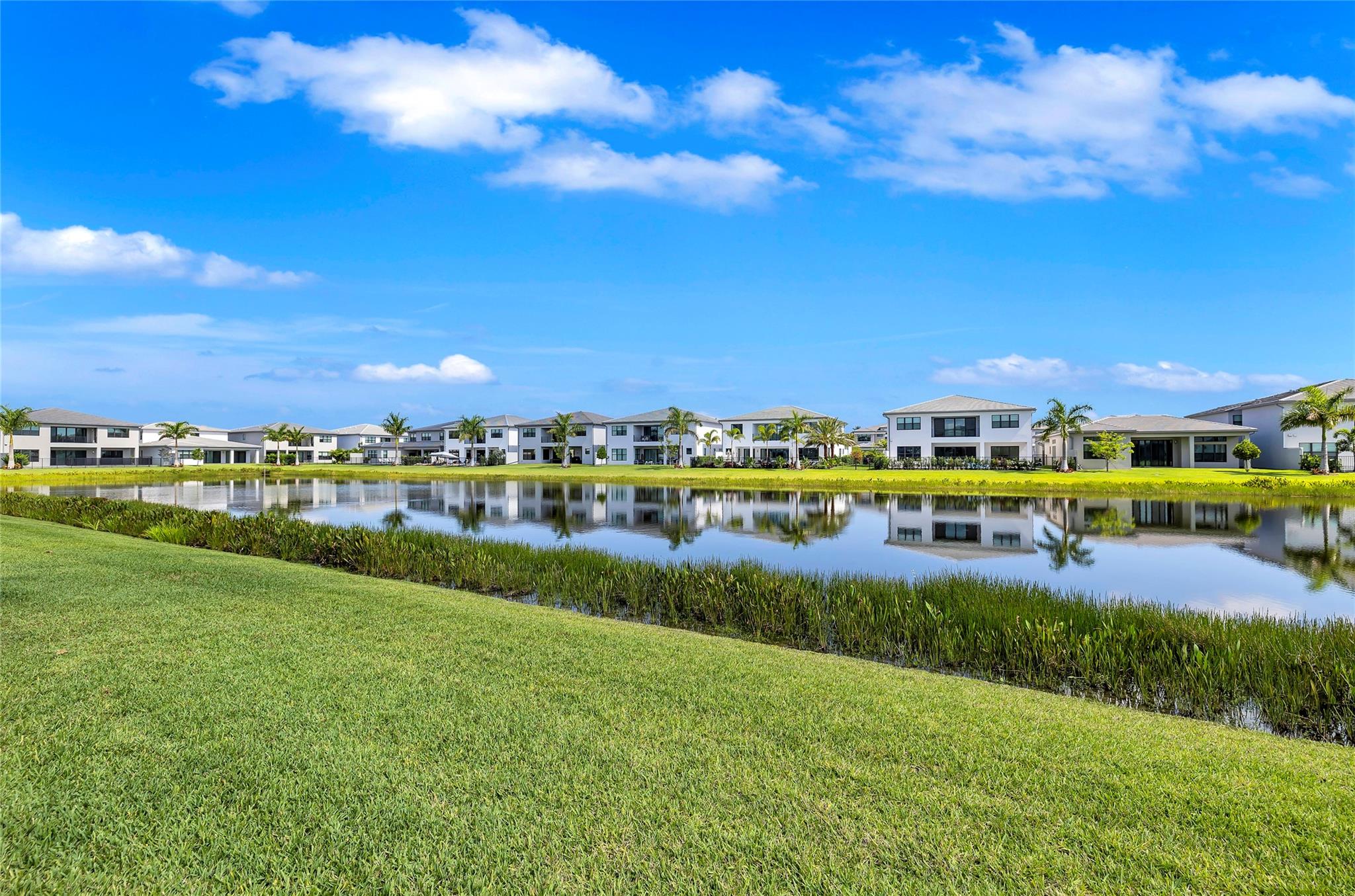 Lotus Palm - Residential