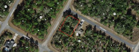 3170 W Hamlet Place Citrus Springs FL 34433