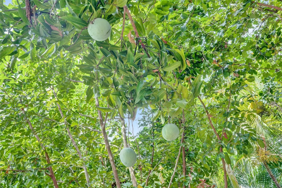 Greenwood II 103-46 B - Residential