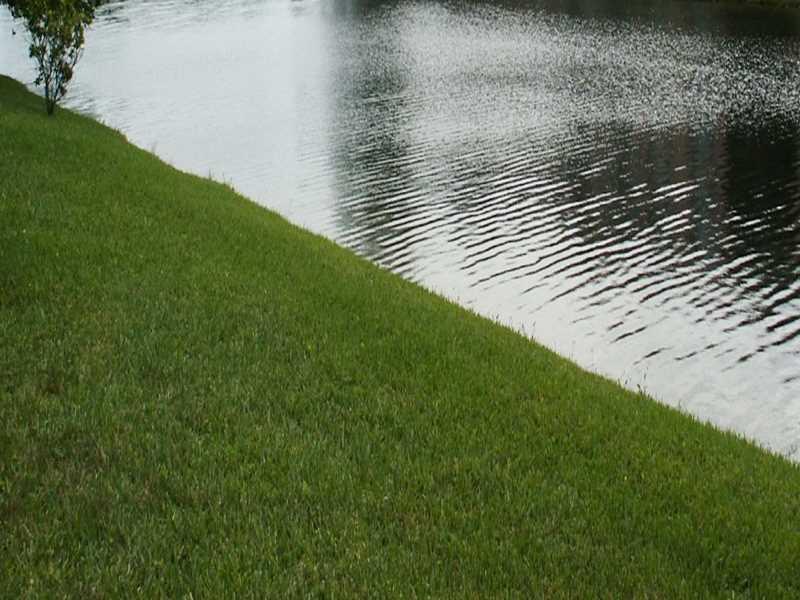 SPRINGLAKE II - Residential