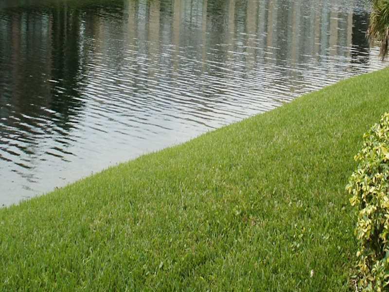 SPRINGLAKE II - Residential