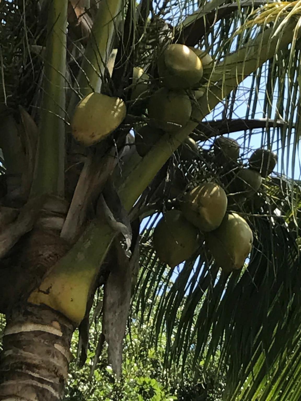 PORT SEWALL (AKA SEWALL'S - Residential