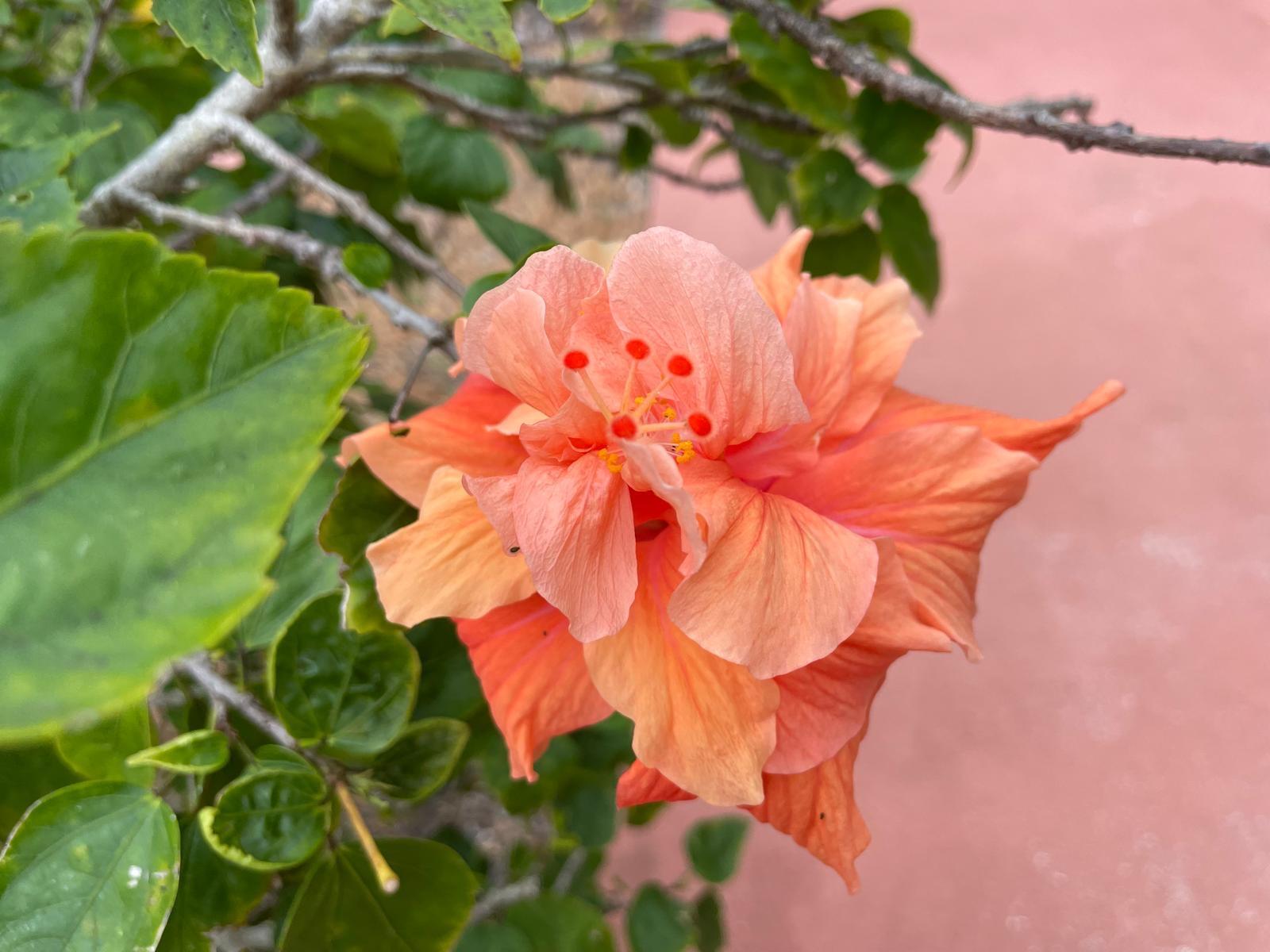 PORT SEWALL (AKA SEWALL'S - Residential