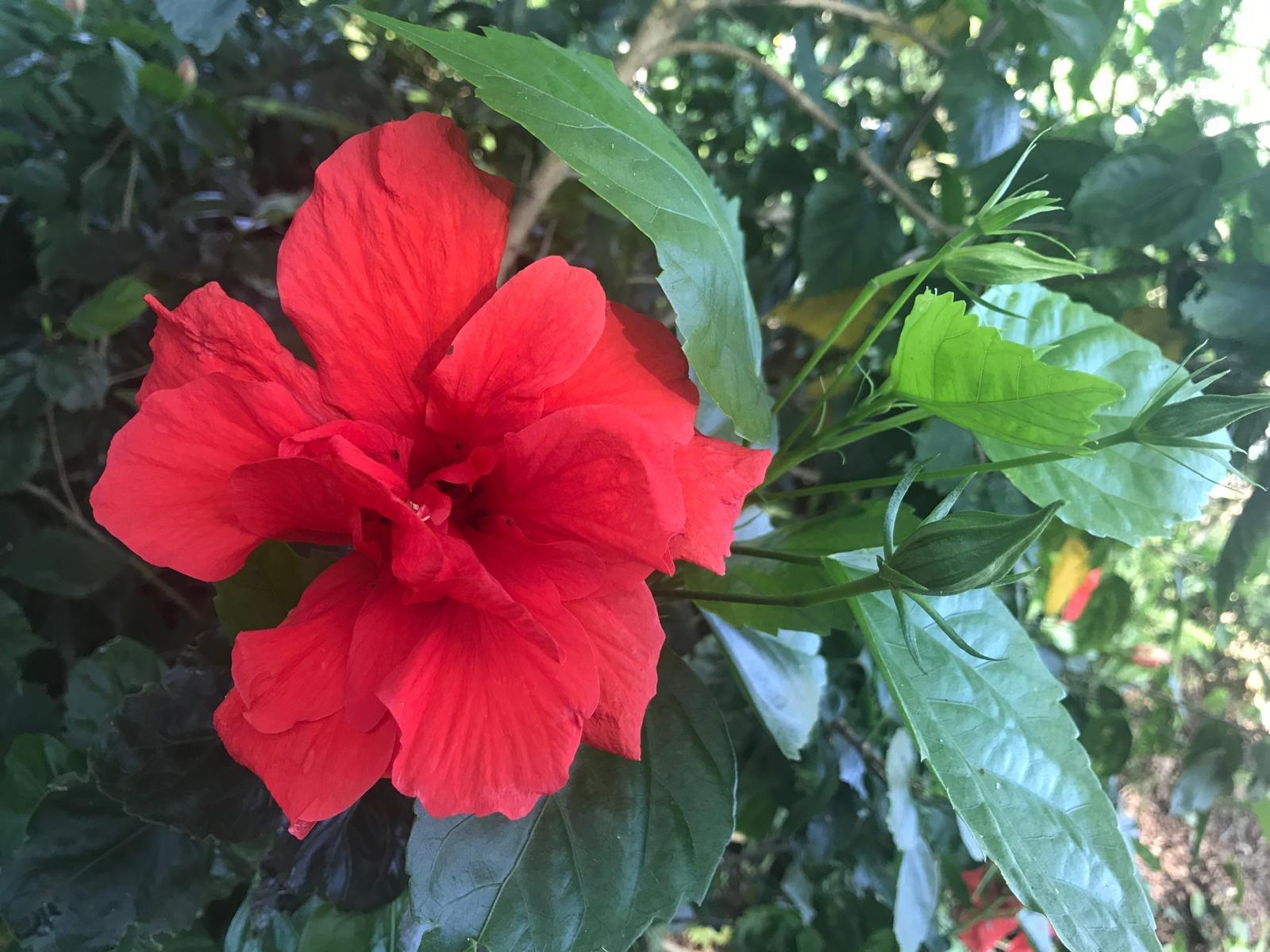 PORT SEWALL (AKA SEWALL'S - Residential