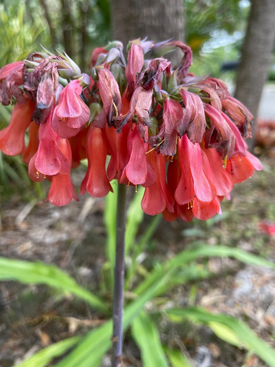 PORT SEWALL (AKA SEWALL'S - Residential