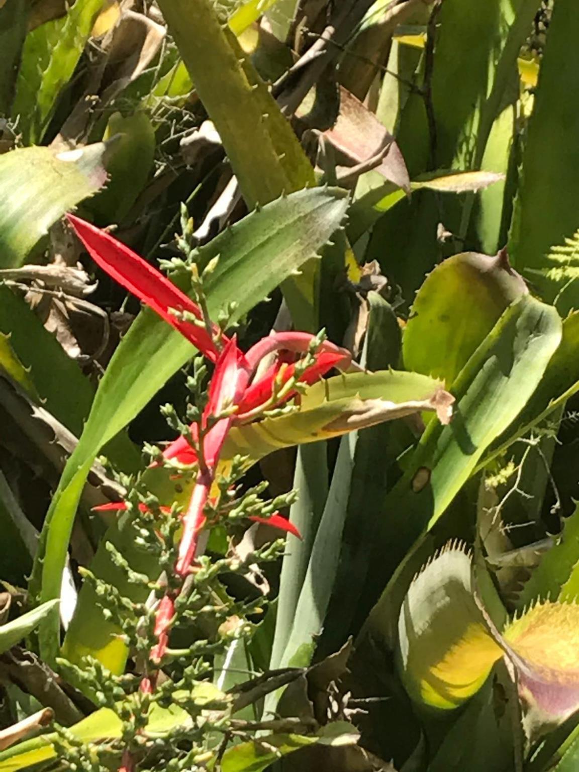 PORT SEWALL (AKA SEWALL'S - Residential