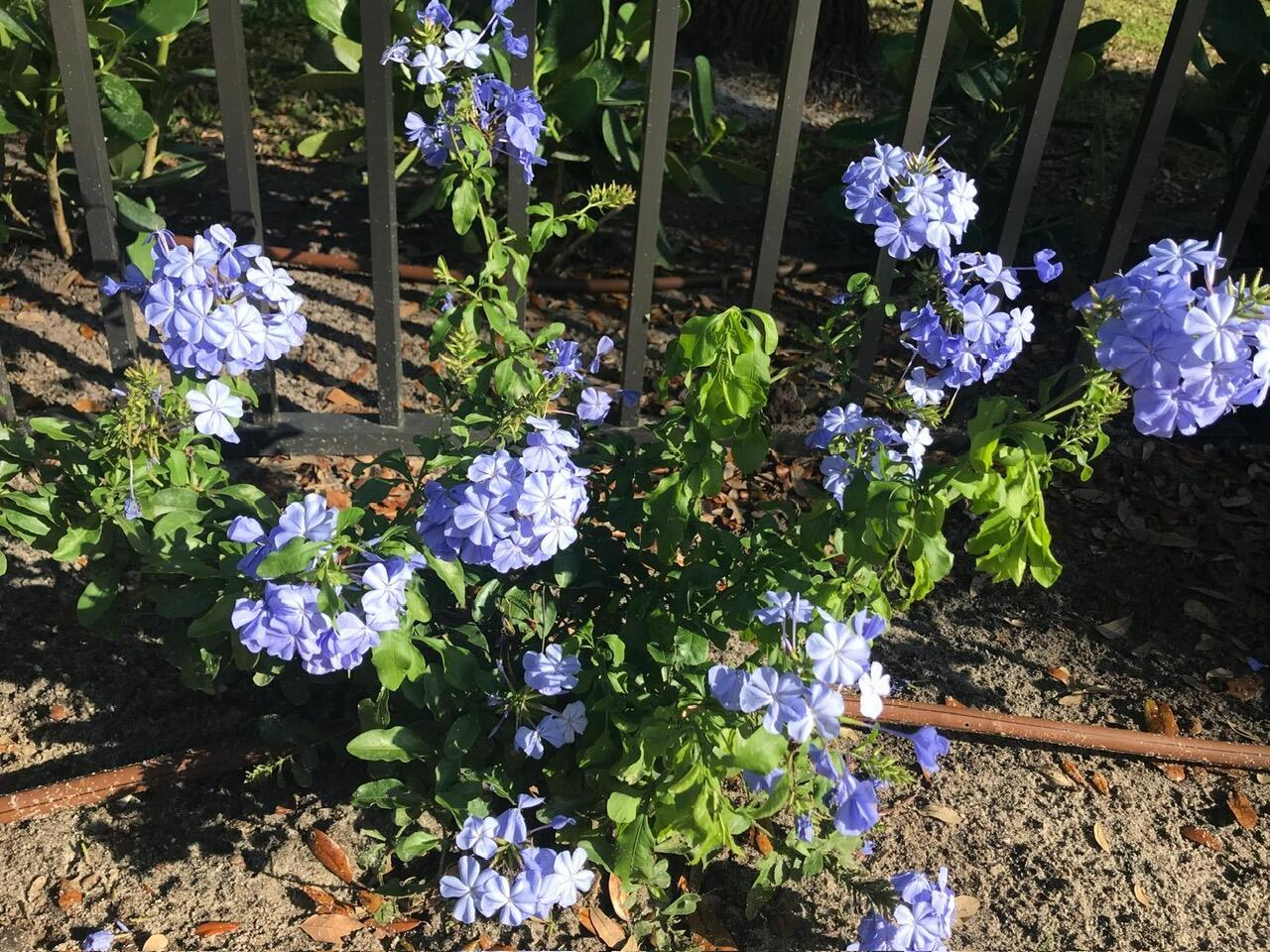 PORT SEWALL (AKA SEWALL'S - Residential