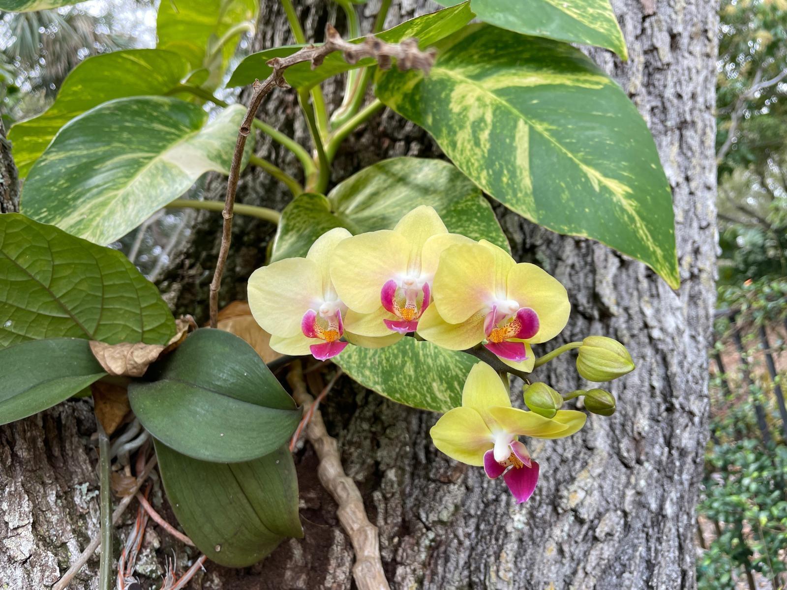 PORT SEWALL (AKA SEWALL'S - Residential