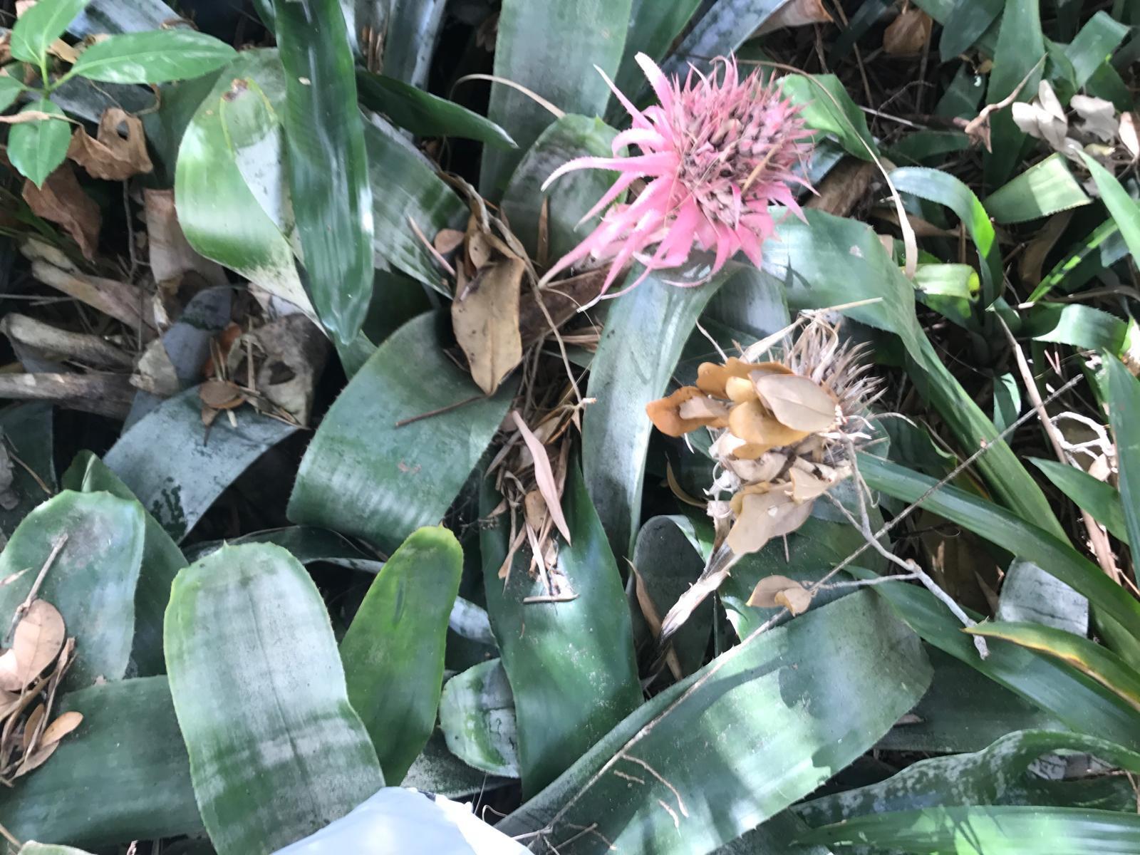 PORT SEWALL (AKA SEWALL'S - Residential