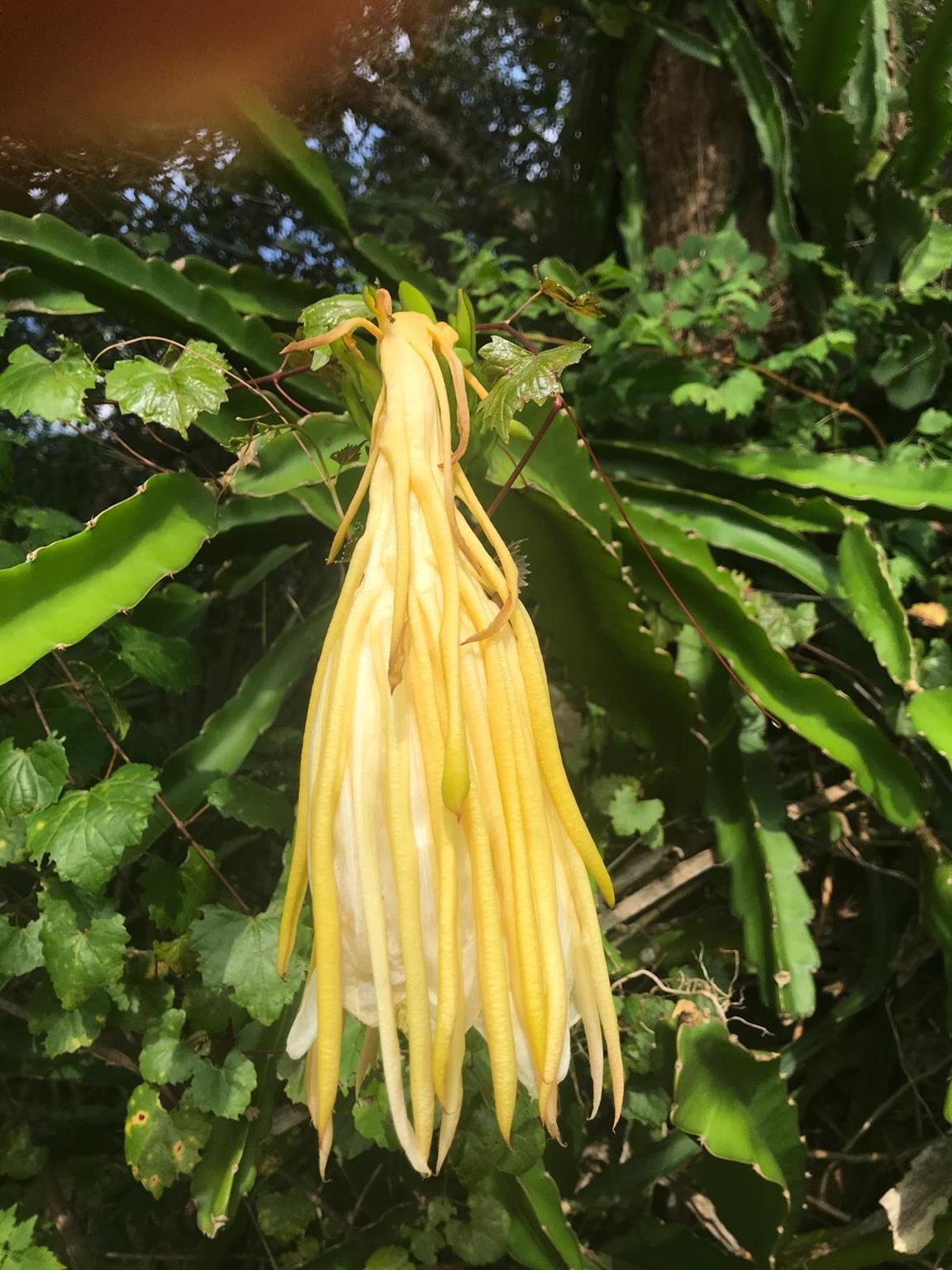 PORT SEWALL (AKA SEWALL'S - Residential