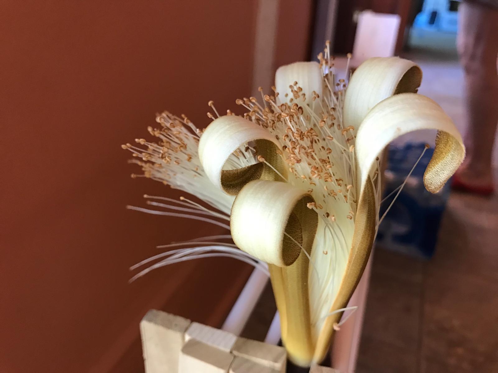 PORT SEWALL (AKA SEWALL'S - Residential