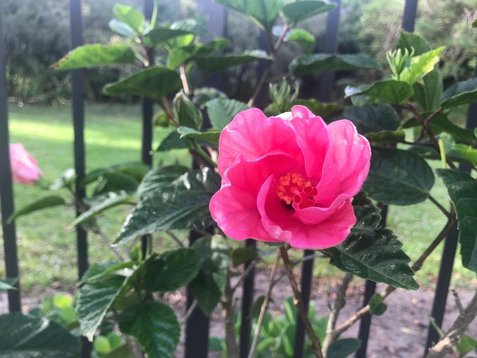 PORT SEWALL (AKA SEWALL'S - Residential