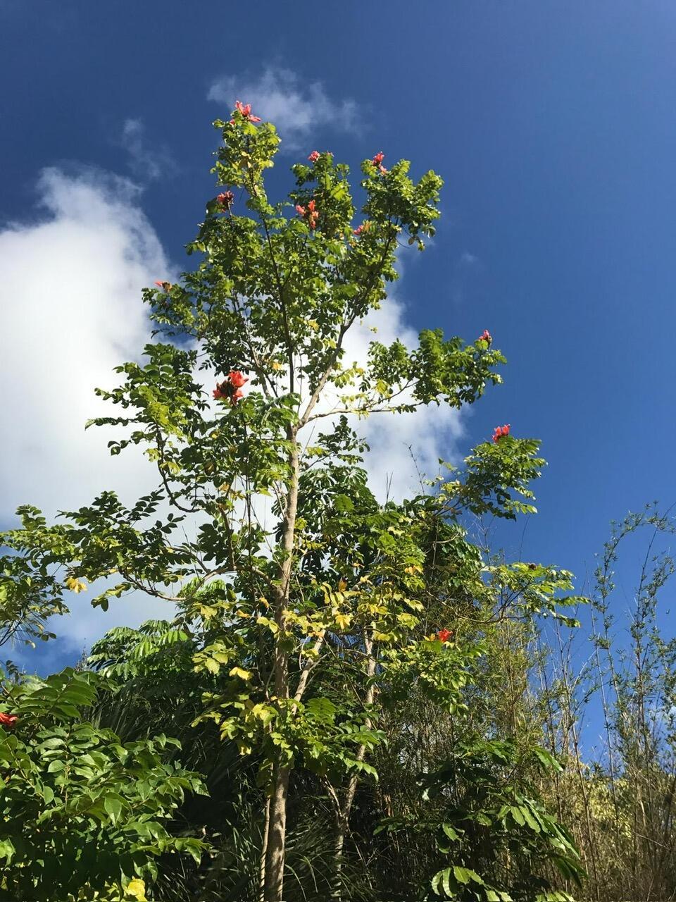 PORT SEWALL (AKA SEWALL'S - Residential