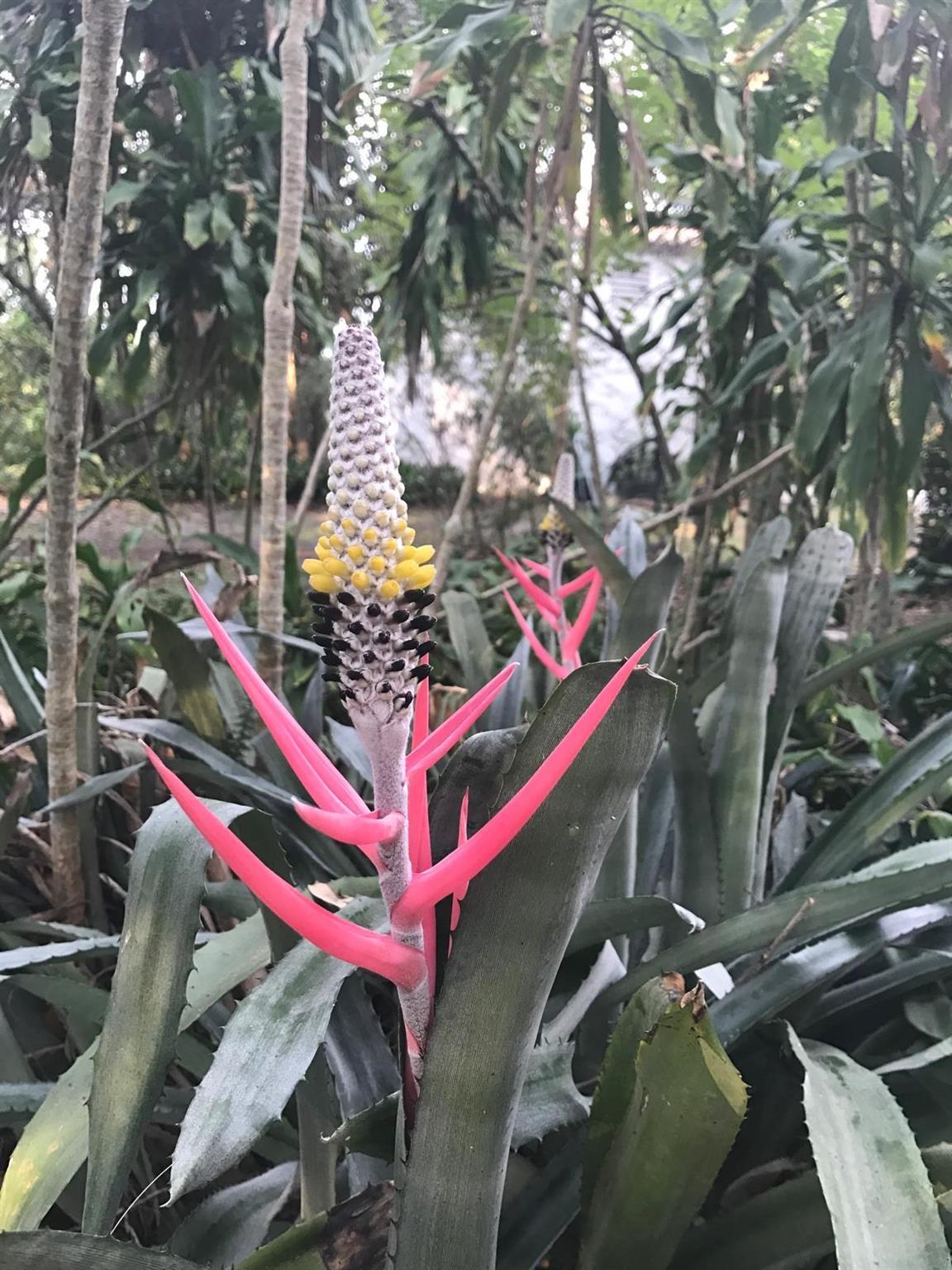 PORT SEWALL (AKA SEWALL'S - Residential