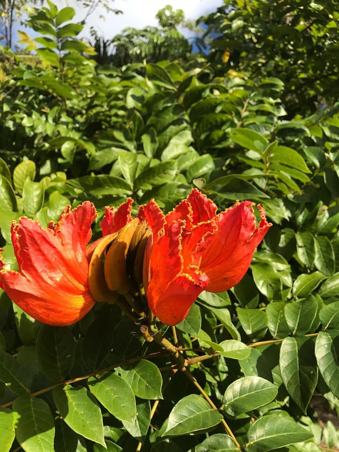 PORT SEWALL (AKA SEWALL'S - Residential