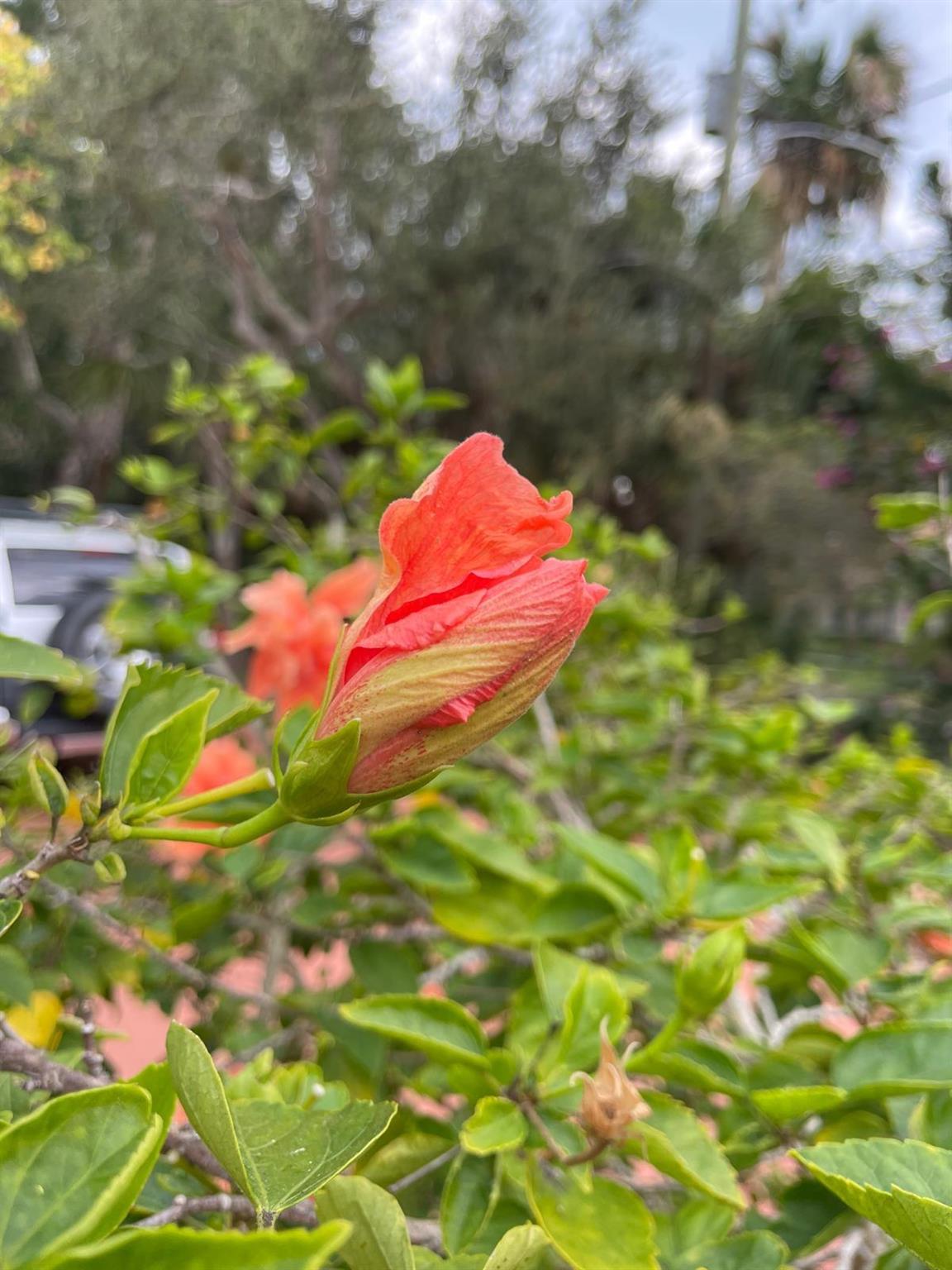 PORT SEWALL (AKA SEWALL'S - Residential