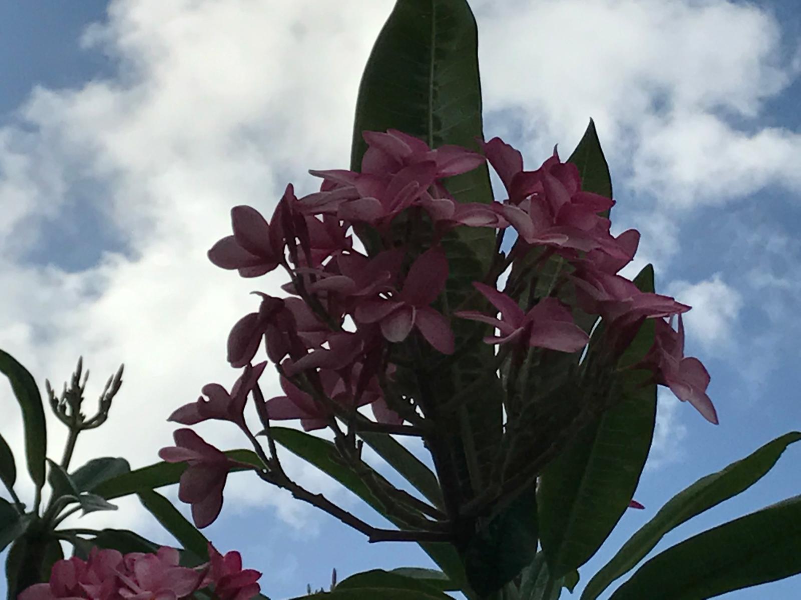 PORT SEWALL (AKA SEWALL'S - Residential