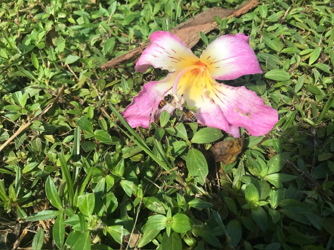 PORT SEWALL (AKA SEWALL'S - Residential