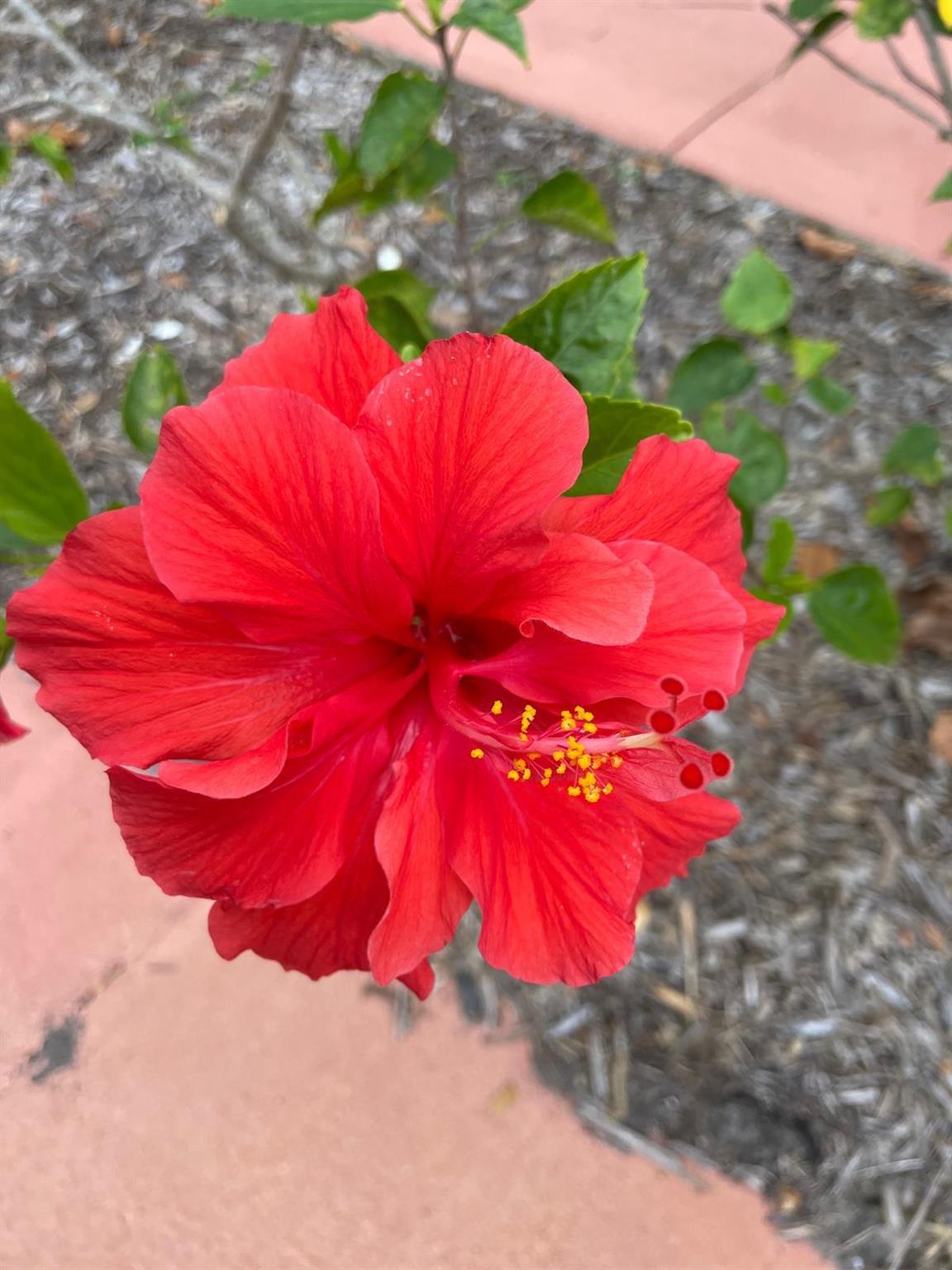 PORT SEWALL (AKA SEWALL'S - Residential