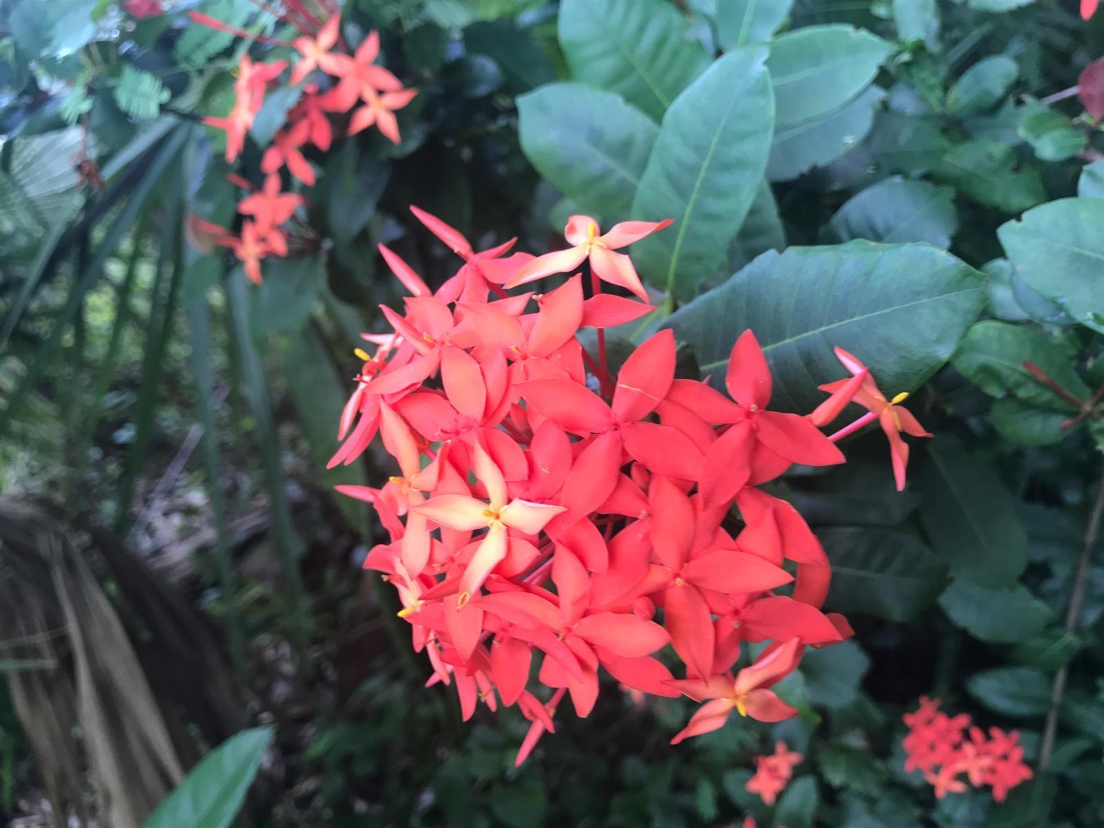 PORT SEWALL (AKA SEWALL'S - Residential