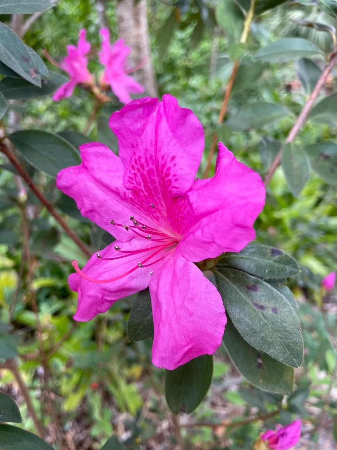 PORT SEWALL (AKA SEWALL'S - Residential