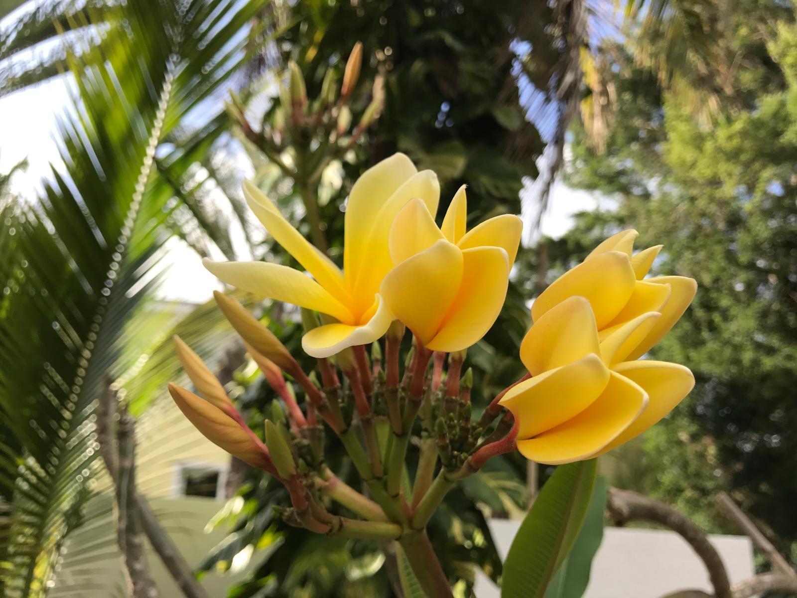 PORT SEWALL (AKA SEWALL'S - Residential