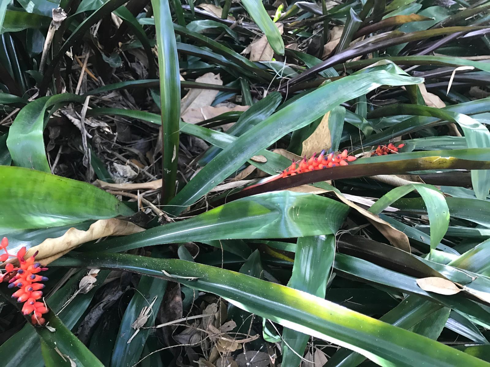 PORT SEWALL (AKA SEWALL'S - Residential