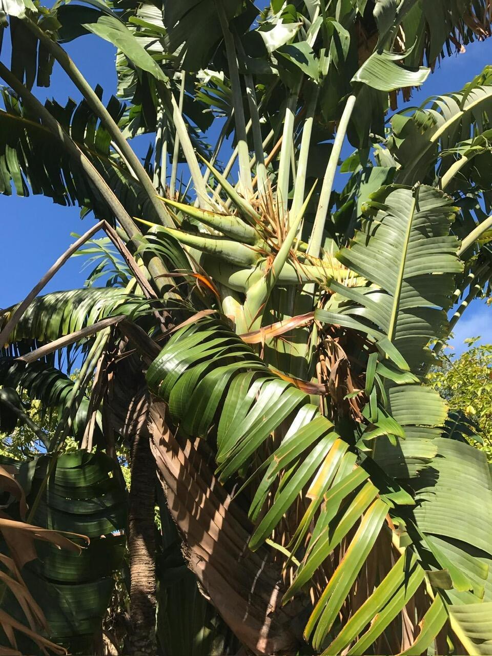 PORT SEWALL (AKA SEWALL'S - Residential