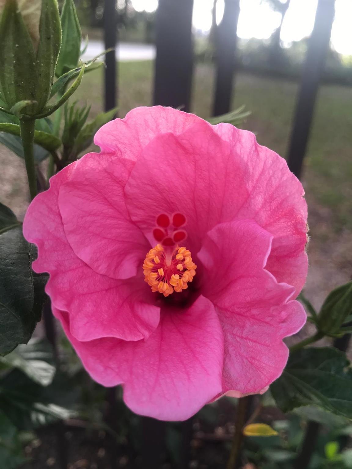 PORT SEWALL (AKA SEWALL'S - Residential