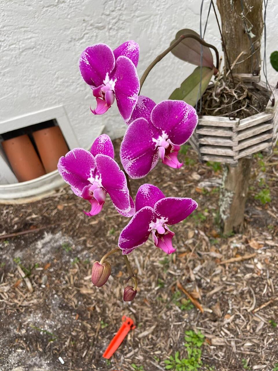 PORT SEWALL (AKA SEWALL'S - Residential