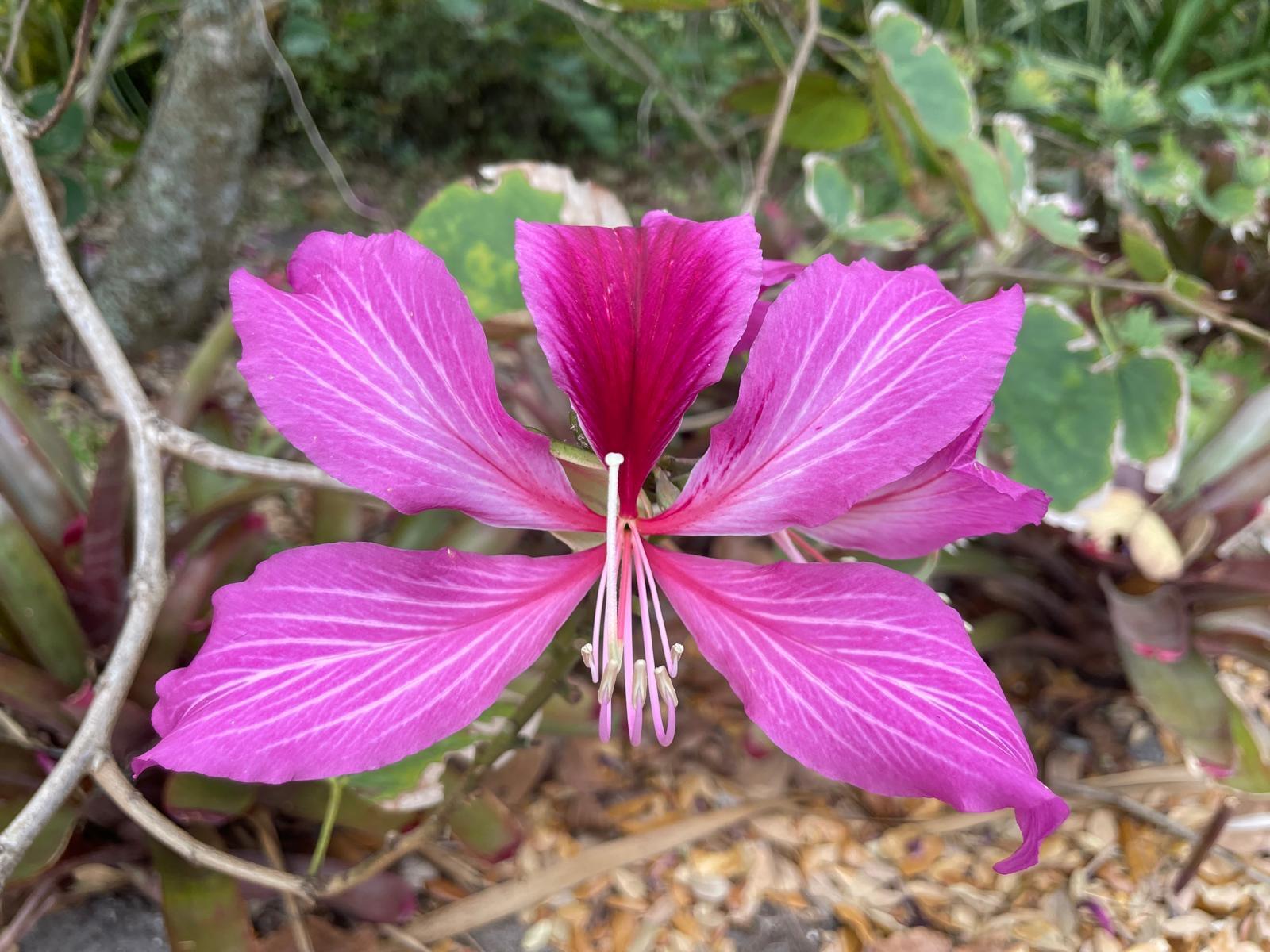 PORT SEWALL (AKA SEWALL'S - Residential