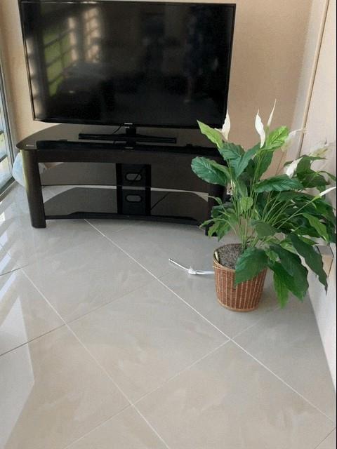 HARWOOD D CONDO - Residential Lease