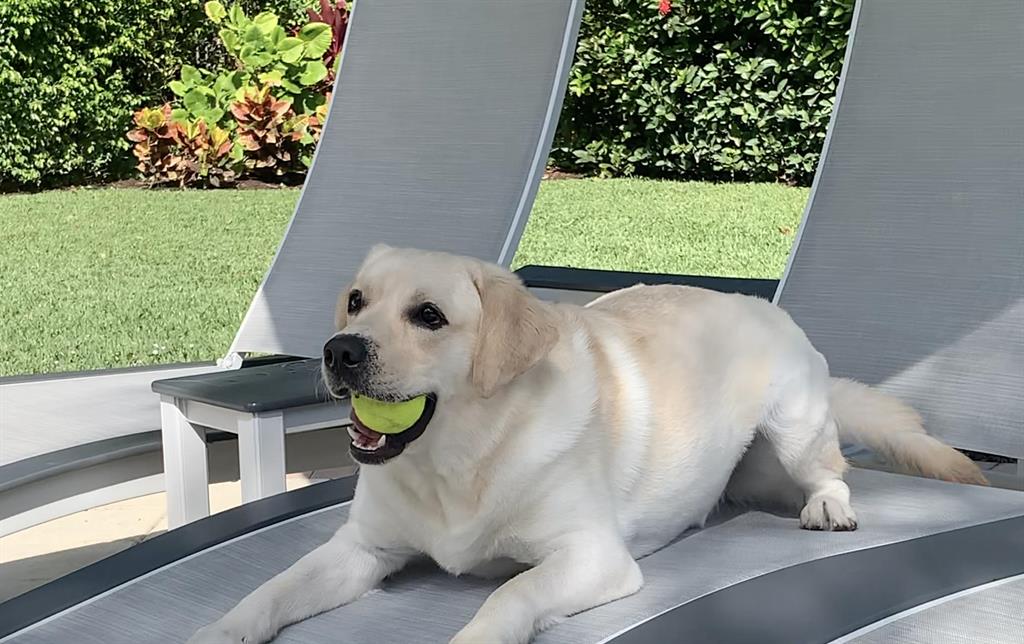 BallenIsles - St Thomas - Residential